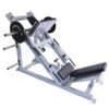 Commercial Hack Squat and Leg Press Combo