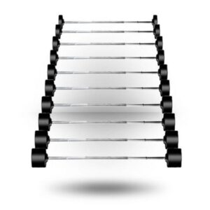 York (20-110 lb) Rubber-Coated Barbell Set