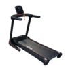 Body-Solid Folding Treadmill
