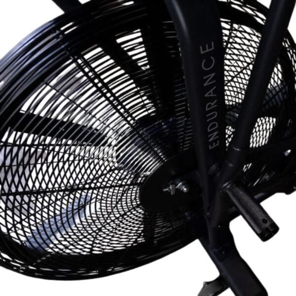 Body-Solid (#FB300B) Endurance Fan Exercise Bike