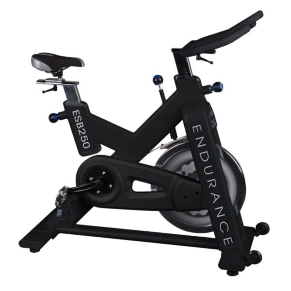 Body-Solid Endurance ESB150 Indoor Exercise Bike