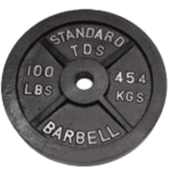 100 iron weight