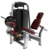 Vortex Strength Seated Leg Curl and Extension Black 210 Lb stack