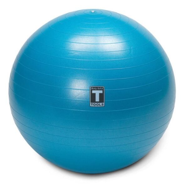 Body-Solid Stability Balls
