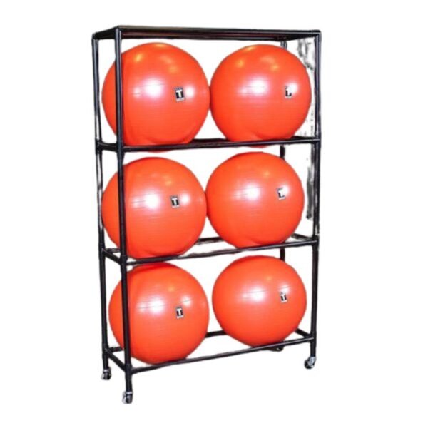 Body-Solid (#SSBR100) Stability Ball Storage