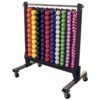 Body-Solid Aerobic Weight Rack