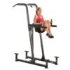 Body-Solid Fusion VKR Power Tower