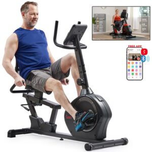 Sunny Smart Magnetic Heavy Duty Recumbent Bike