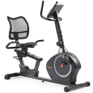Sunny Smart Magnetic Heavy Duty Recumbent Bike