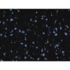 Vortex Rubber Rolls Black with Blue Specks VS101 8mm
