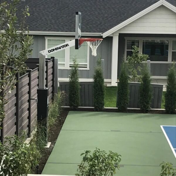 Dominator 60 Inch Basketball Hoop